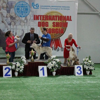 International FCI-FCG dog show "Tbilisi Challenge-2015", 28.03.15