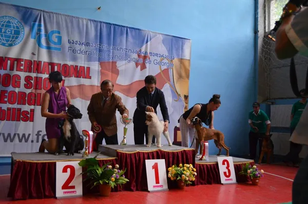CAC-CACIB FCI dog show Georgia-2014, 11.05.2014