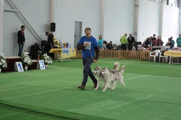 International FCI-FCG dog show "Tbilisi Challenge-2015", 28.03.15