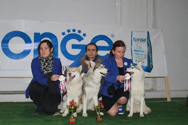 FCG-FCI autumn Dog Shows CAC-CACIB 2015