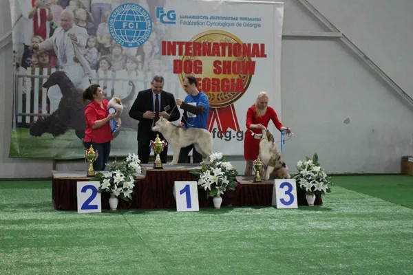 International FCI-FCG dog show "Tbilisi Challenge-2015", 28.03.15